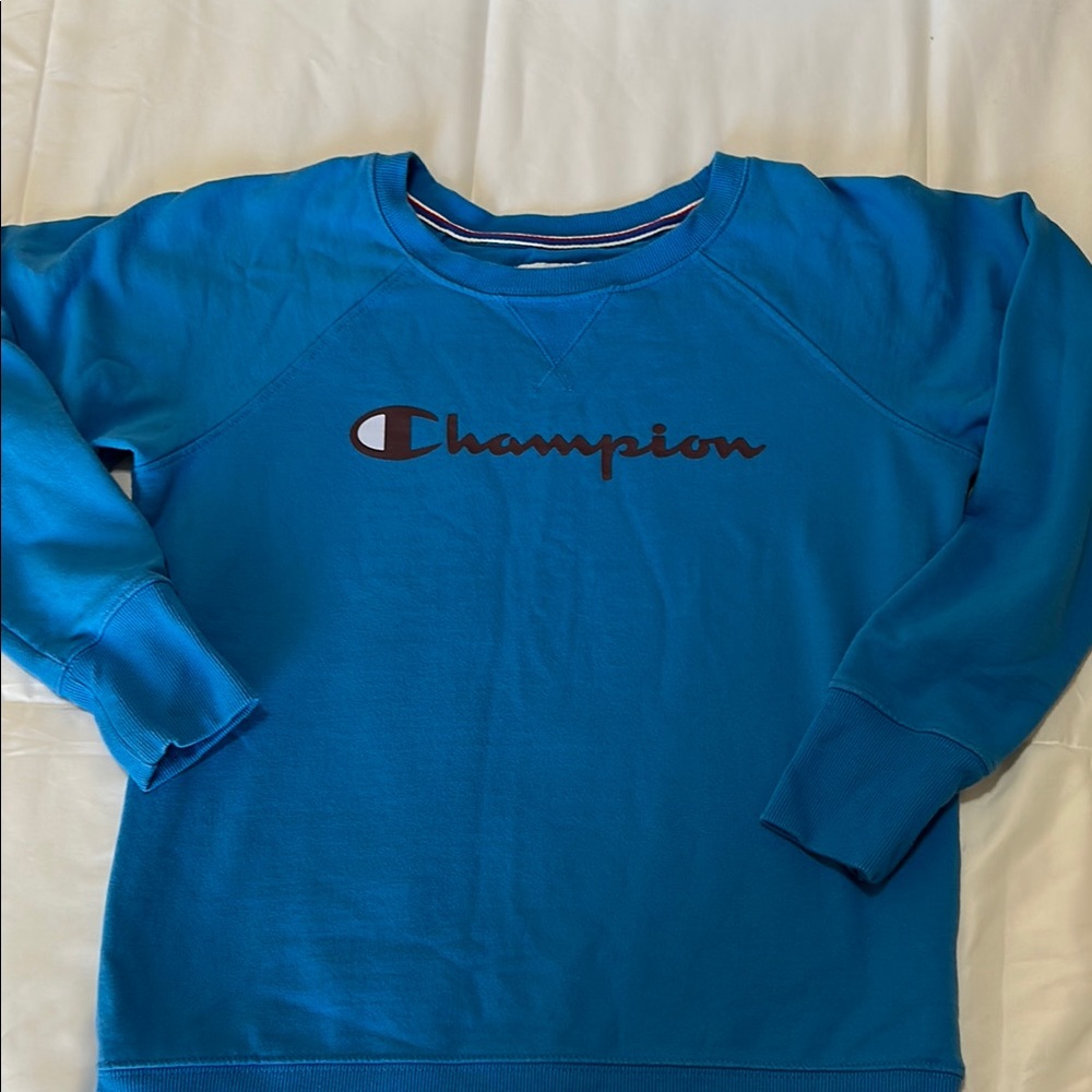 Champion Blue Sweatshirt